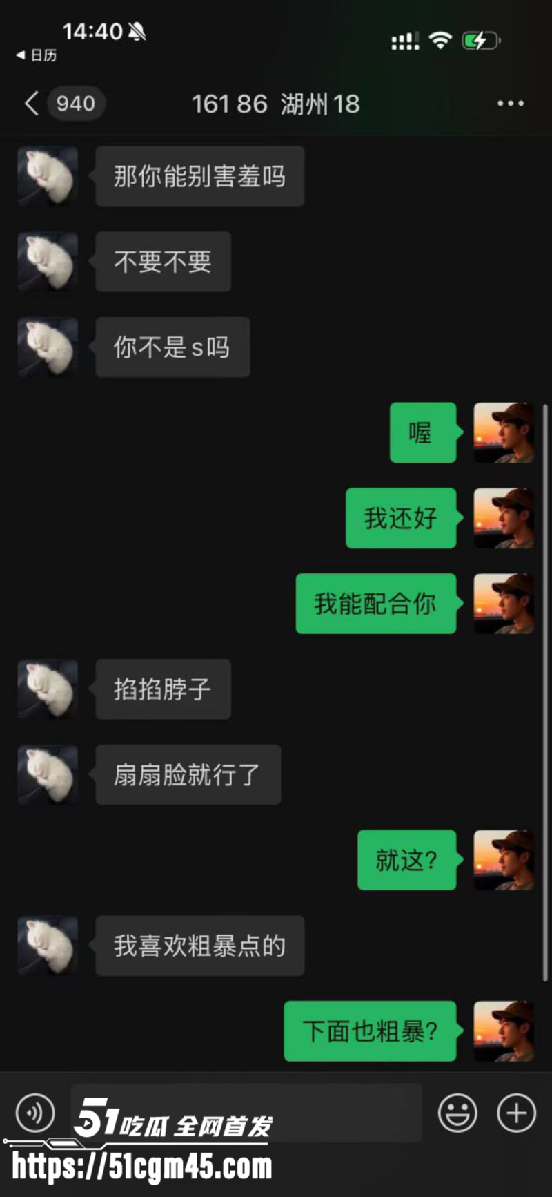 五菱神车改装群 惊现保时捷车主 7